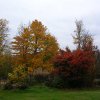 fall color 001